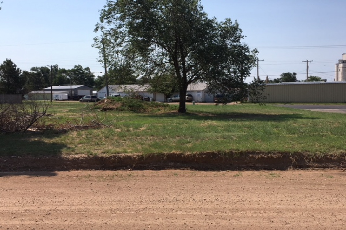 101 Dodson, Dalhart, Texas 79022, ,Land,Sold Listings,Dodson,1001