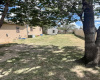 706 Norman, Dalhart, Texas 79022, 3 Bedrooms Bedrooms, ,2 BathroomsBathrooms,Single Family Home,Active Listings,Norman ,1103