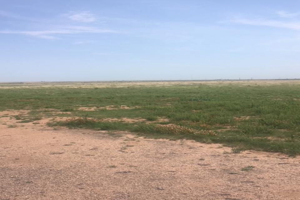Channing, Texas 79108, ,Land,Sold Listings,1005