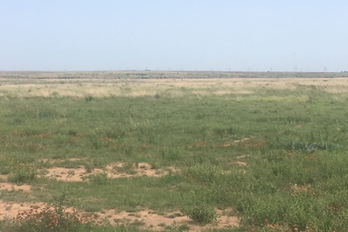 Channing, Texas 79108, ,Land,Sold Listings,1005