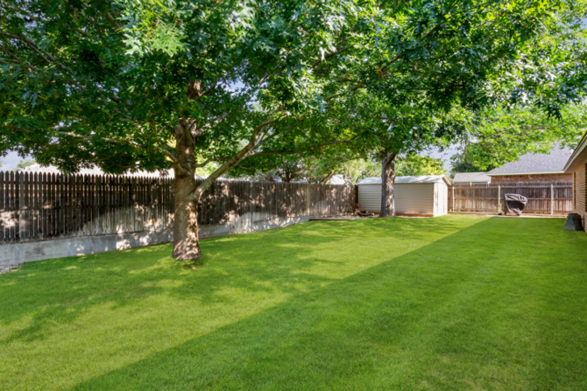 1912 Cherokee Trail, Dalhart, Texas 79022, 3 Bedrooms Bedrooms, ,2 BathroomsBathrooms,Single Family Home,Active Listings,Cherokee Trail,1198