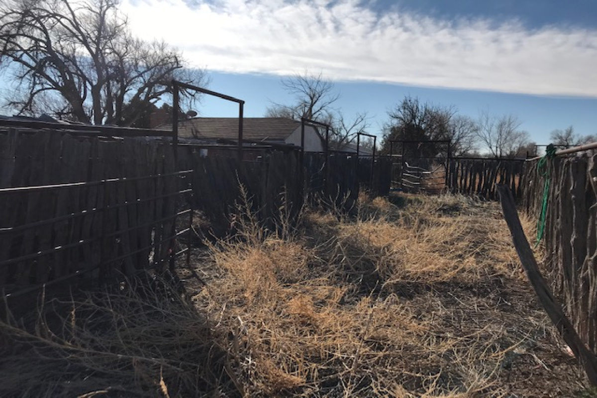 801 Redwood Ave, Adrian, Texas 79001, 3 Bedrooms Bedrooms, ,1.75 BathroomsBathrooms,Single Family Home,Sold Listings,Redwood Ave,1035