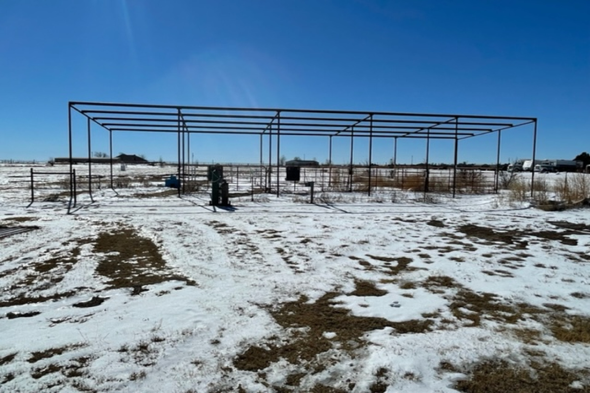 3020 Canyon Trail, Dalhart, Texas 79022, 3 Bedrooms Bedrooms, ,1.75 BathroomsBathrooms,Single Family Home,Sold Listings,Canyon Trail,1056
