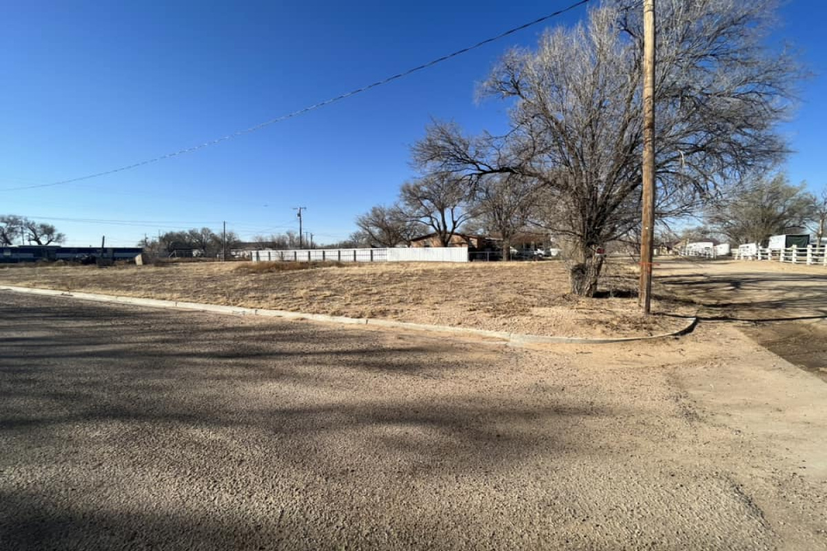 1420 Trinidad, Dalhart, Texas 79022, ,Land,Sold Listings,Trinidad,1086