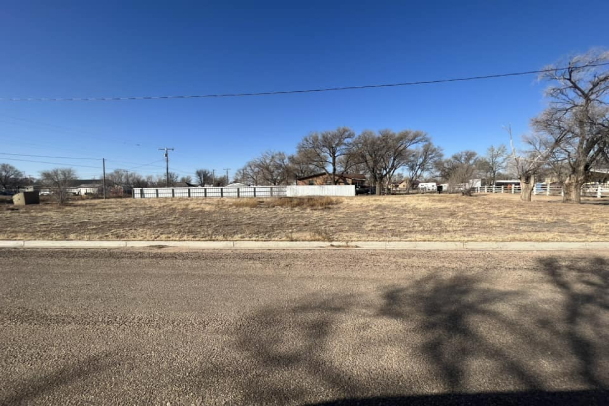 1420 Trinidad, Dalhart, Texas 79022, ,Land,Sold Listings,Trinidad,1086